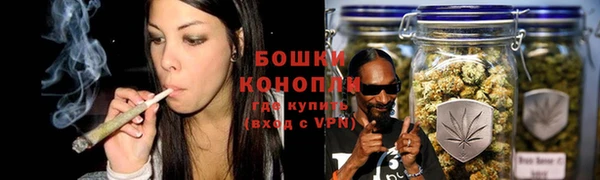 стаф Кодинск