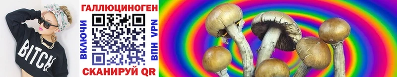 Галлюциногенные грибы Psilocybine cubensis  Купить где  Вольск 